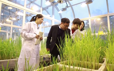 魏太云：聚焦強農興農需求，傳承...